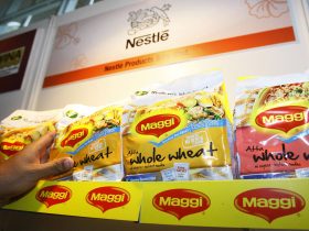 maggi nobs