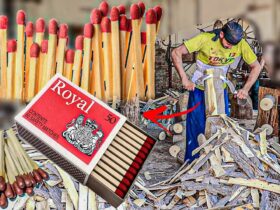 Matchstick