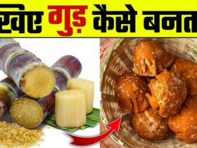 गुड़