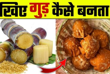 गुड़